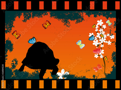 Schildkröte und Schmetterlinge im Filmstreifen