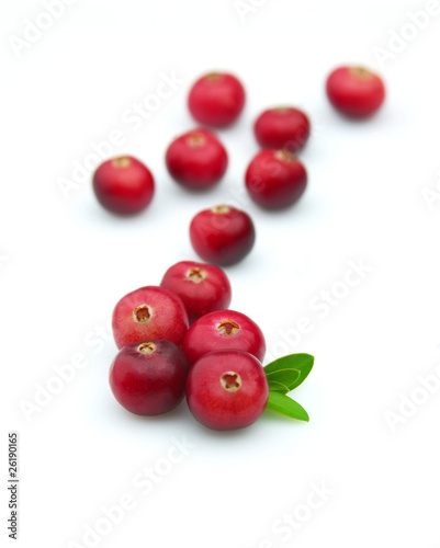 Cranberry with a leaf