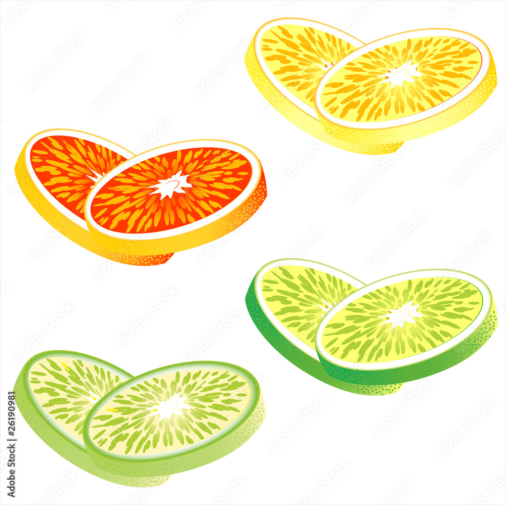 Slices of citrus fruits: Orange, red grapefruit, lemon and lime