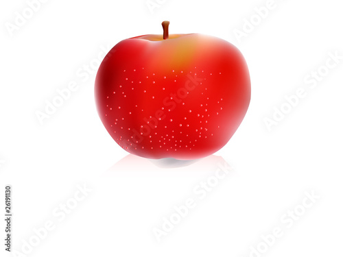 vector illustration of apple isolated on white background