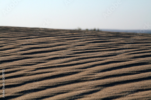 Sand dune photo