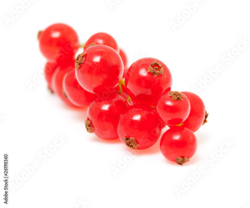 berries of red currant over white background
