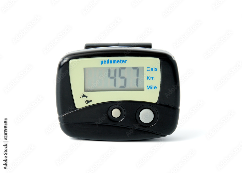 Digital Pedometer Digital Pedometer