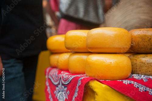 Dutch cheese photo