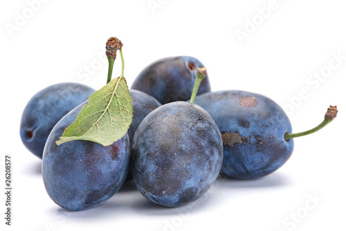 Blue plum with leaf