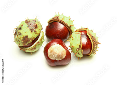 castagne