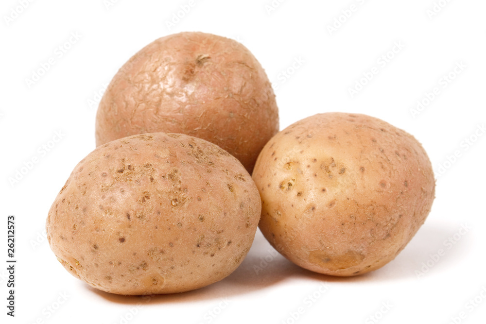 potato potato