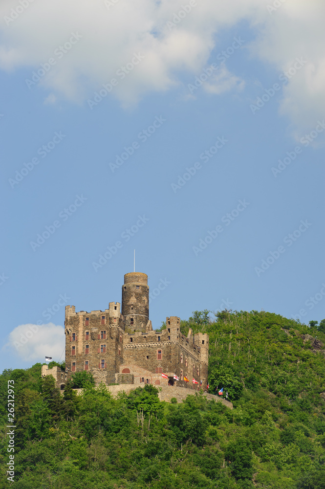 Fototapeta premium Burg Maus