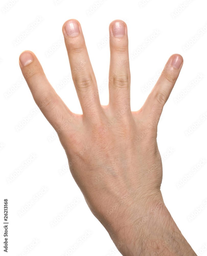 well shaped business man hand count isolated over white. four well shaped business man hand count isolated over white. four