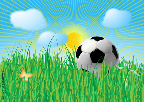Soccer ball on grass field