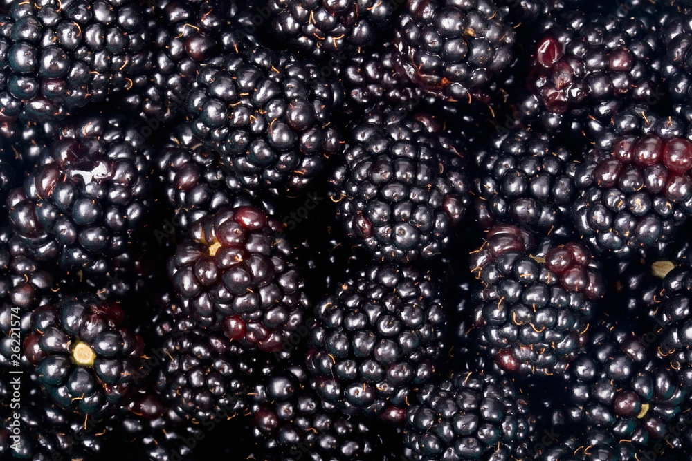 Raspberry Raspberry