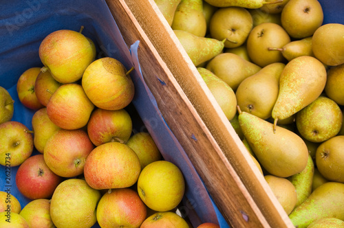 Äpfel und Birnen, Bauernmarkt, Ernte photo