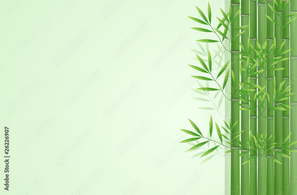 Fototapeta premium Abstract bamboo background