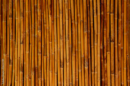 Bamboo for background  texture