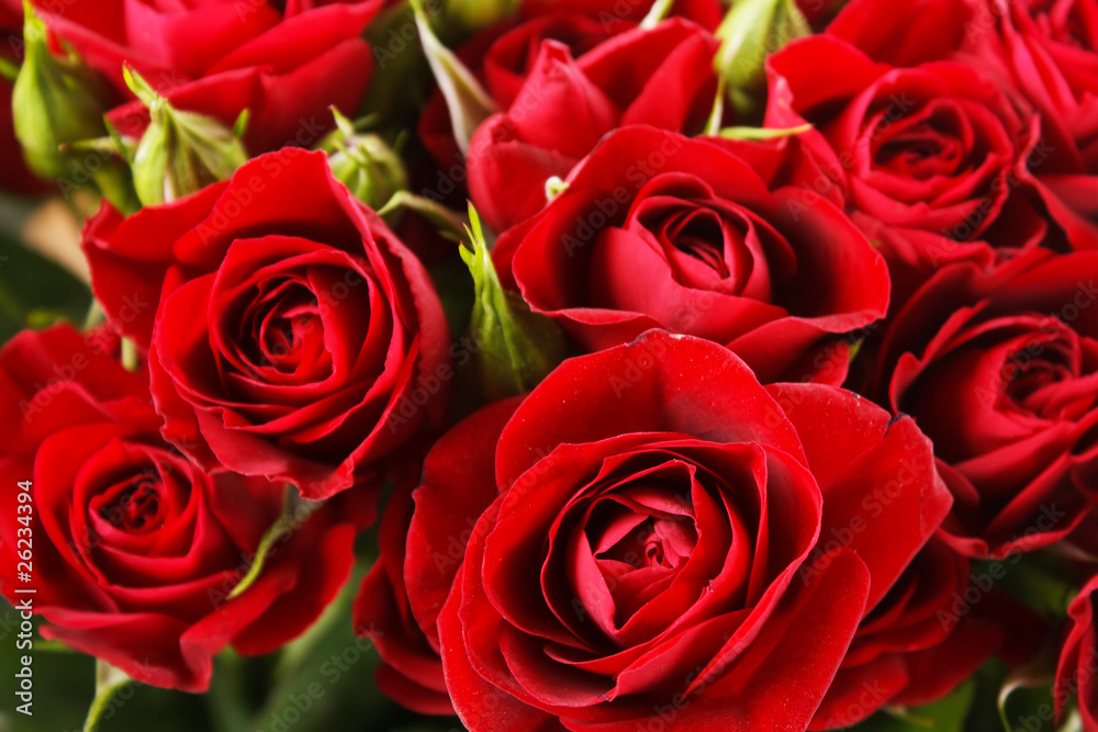 Beautiful flowers Beautiful flowers