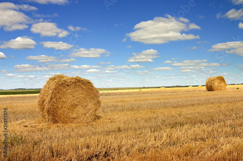 field of straw bales