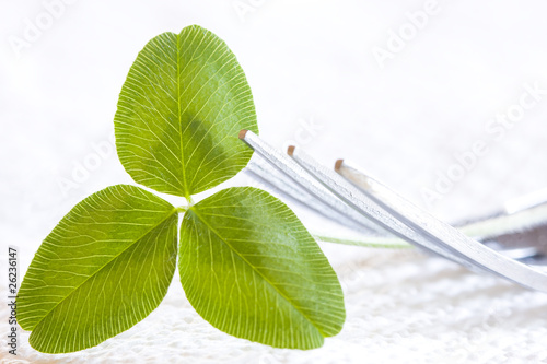 dieta saludable, vegetales