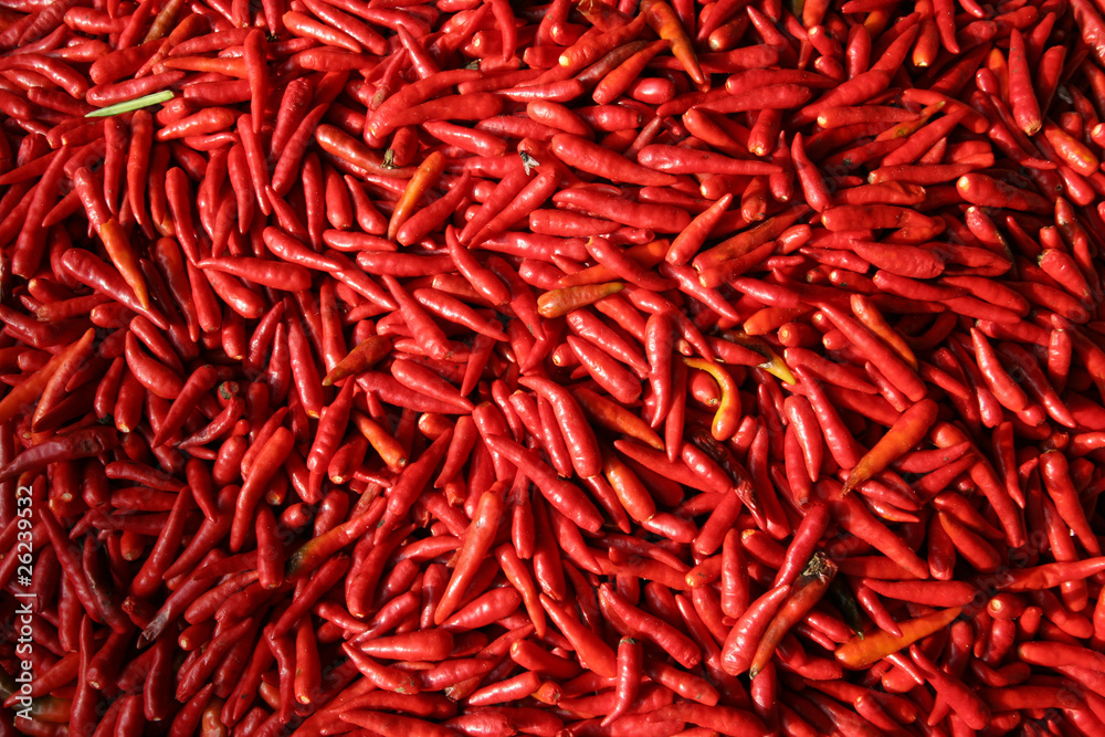 Fototapeta premium a lots of fresh large red spicy, thailand market