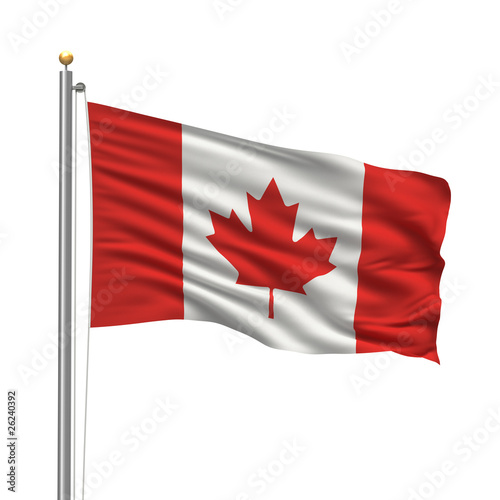 Flag of Canada waving in the wind in front of white background