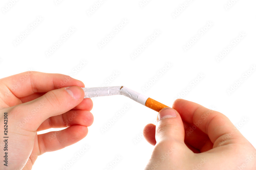 person breaking a cigarette isolated on the white person breaking a cigarette isolated on the white
