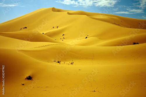 Sand dunes in Erg Chebbi