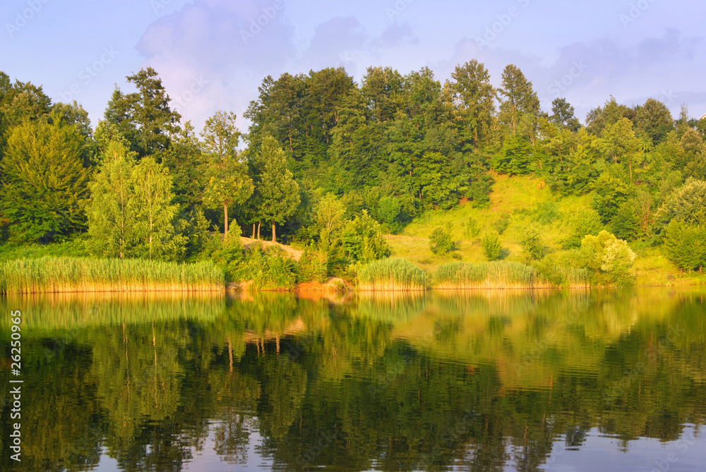 lake and tree lake and tree