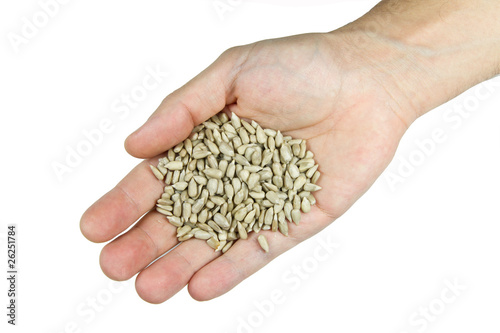 sunflower seeds in hand