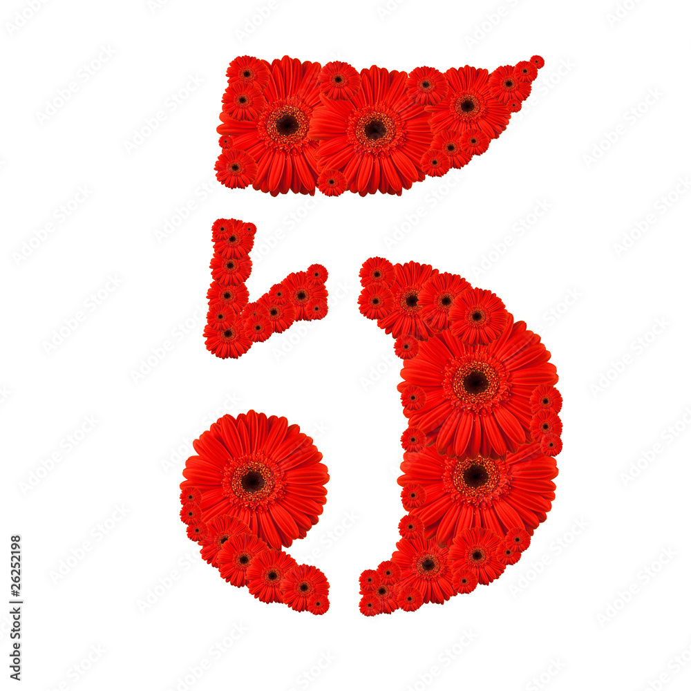 Number 5 Number 5
