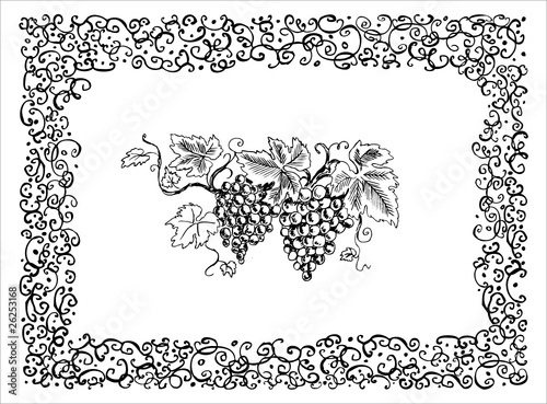 Creative grape background
