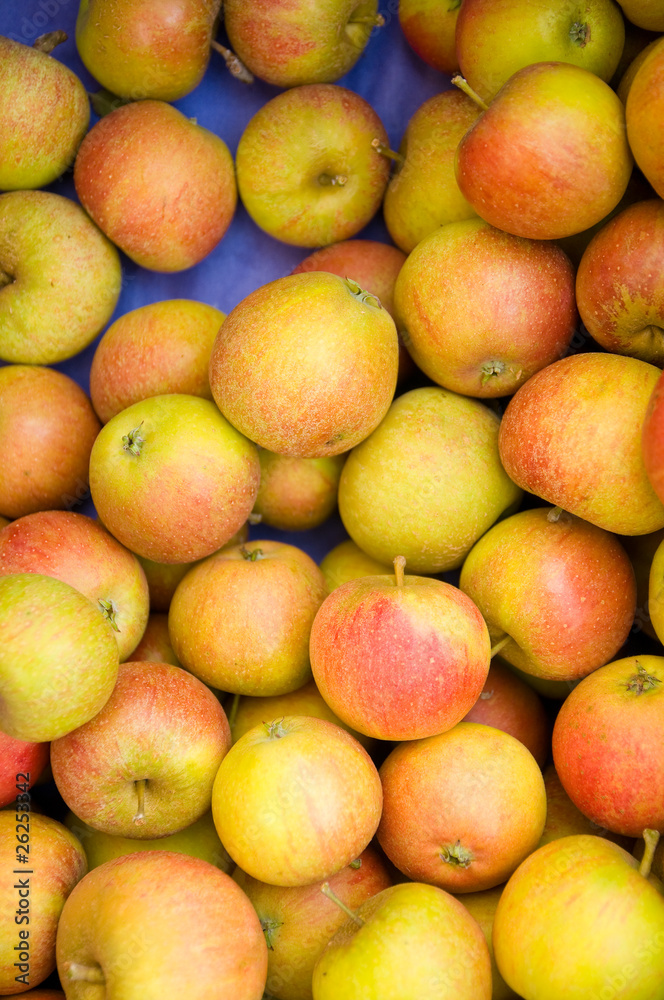 Äpfel vom Bodensee, Bauernmarkt, Apfelernte Äpfel vom Bodensee, Bauernmarkt, Apfelernte