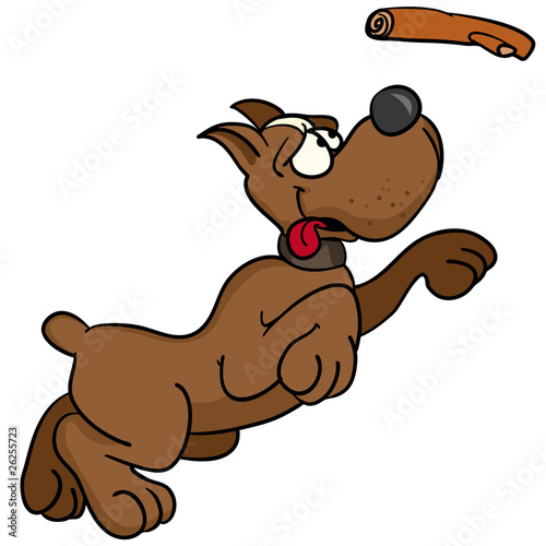 boxer am apportieren