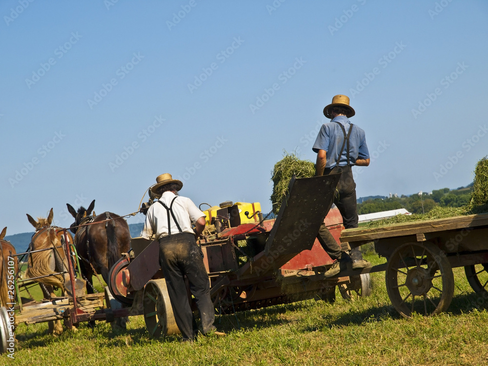 Naklejka premium Amish Farmers