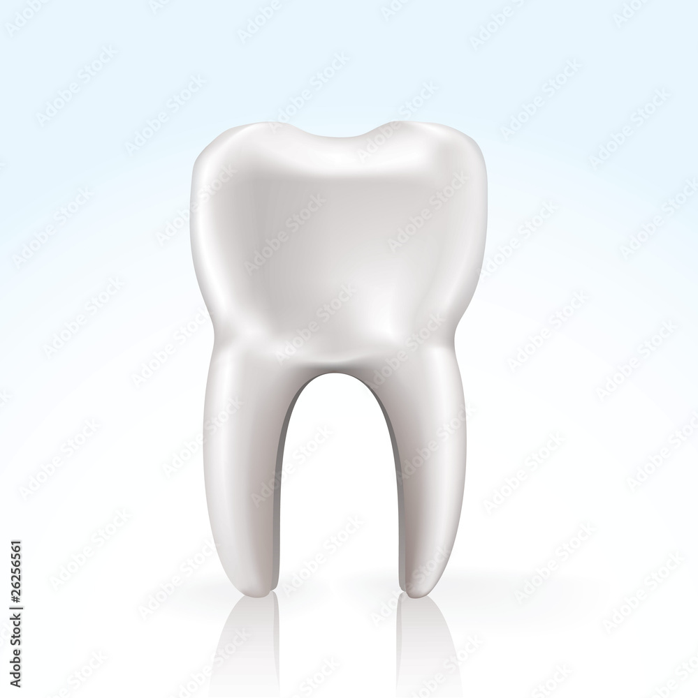 vector tooth vector tooth