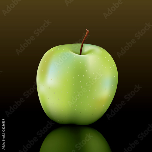 vector granny smith apple