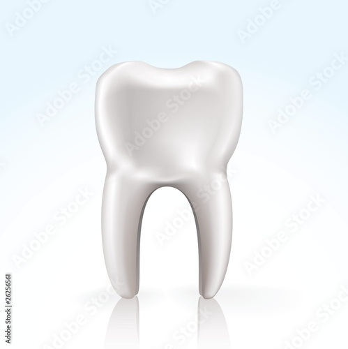 vector tooth