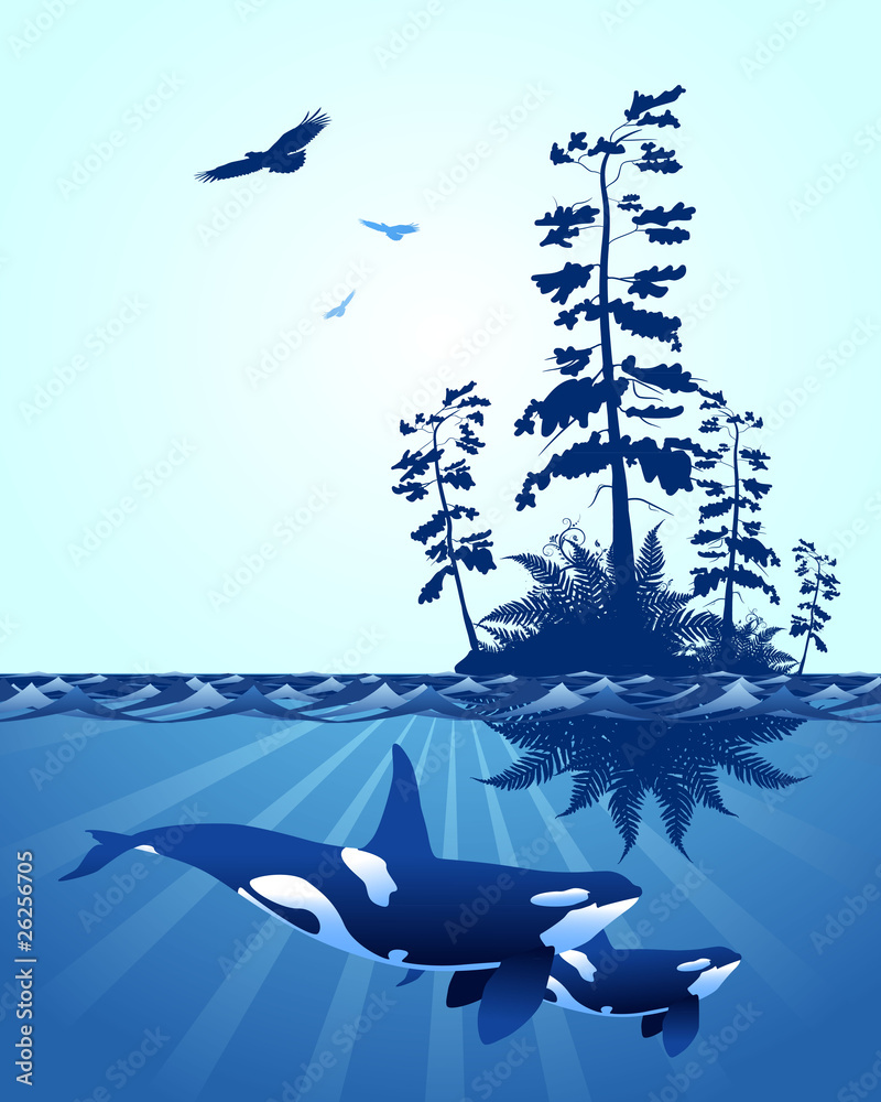 Naklejka premium abstract Pacific Northwest ocean scene