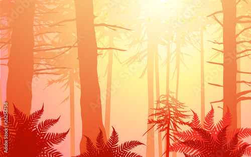 vector enchanted forest in warm colors