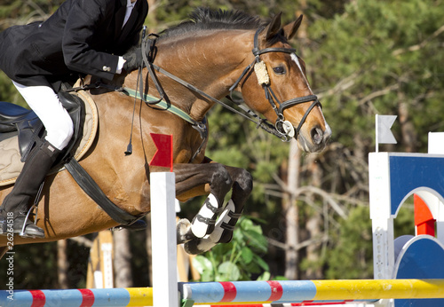 equestrian show jumping © Farmer