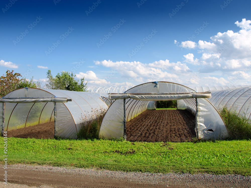 Vegetable Greenhouse Vegetable Greenhouse