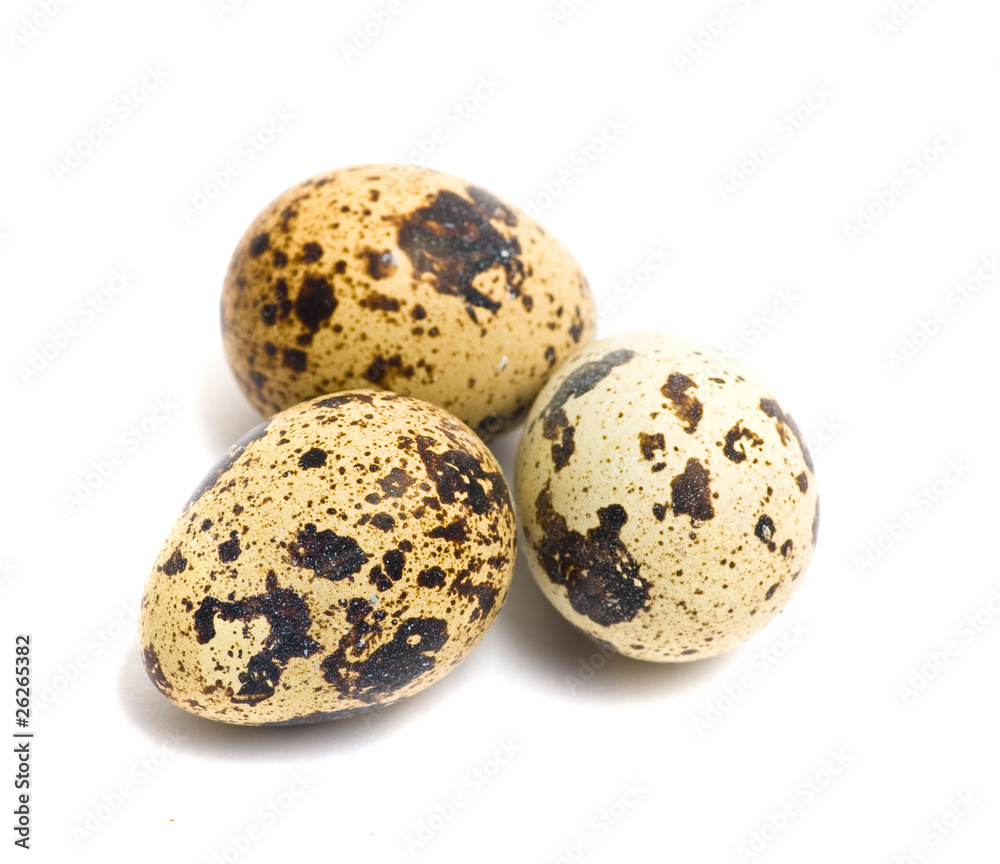 quail eggs quail eggs