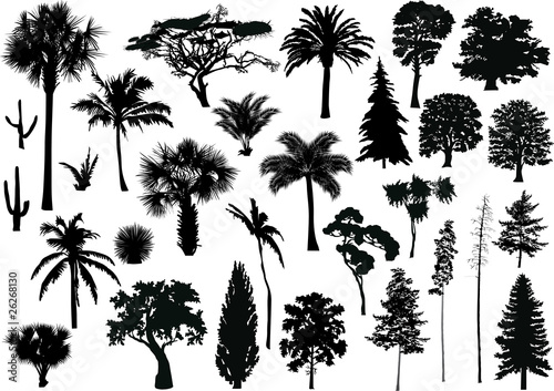 large set of black trees on white