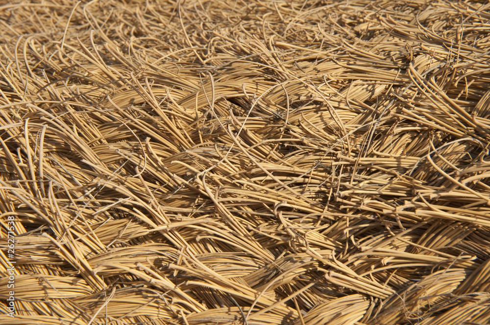 Rattan Stock-Foto | Adobe Stock