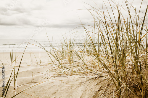 Fototapeta Wysoka trawa na plaży podczas pochmurnego dnia na zamówienie