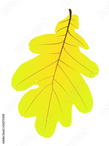[V] oak leaf