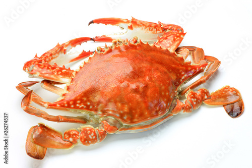 The lblue crab which was boiled