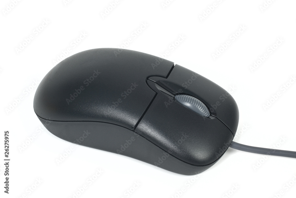 Mouse Mouse