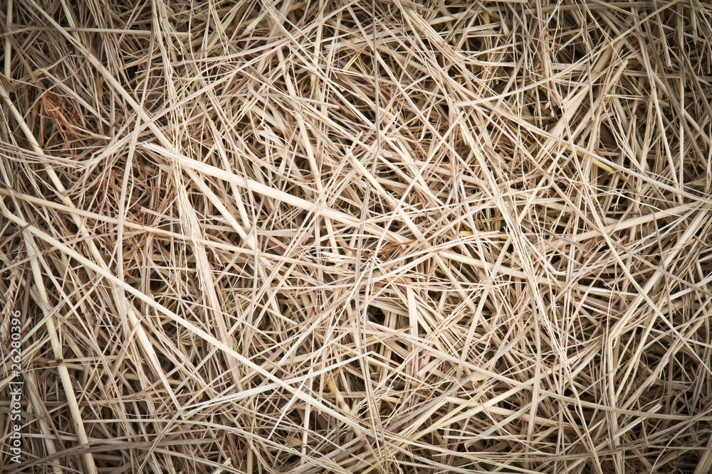 Straw Straw