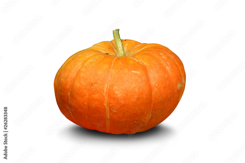 Orange pumpkin on white backgound Orange pumpkin on white backgound