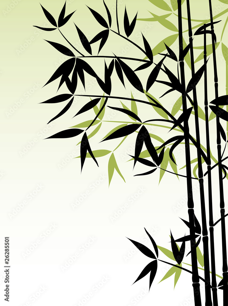Naklejka premium Bamboo background, vector