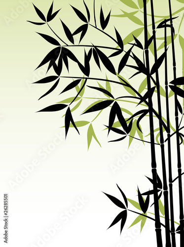 Fototapeta Naklejka Na Ścianę i Meble -  Bamboo background, vector